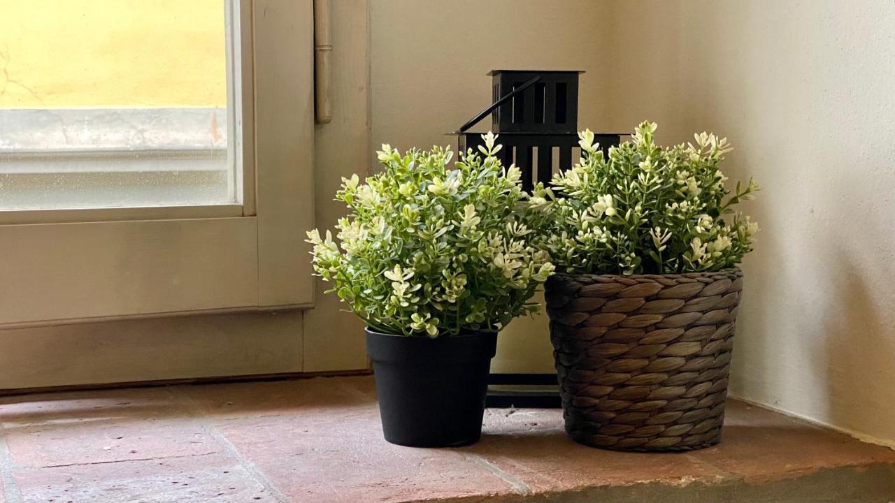 Appartement Corso Double à Florence Extérieur photo